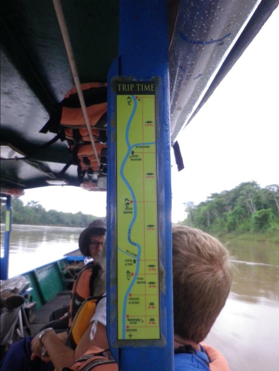 Amazon - Peru36